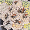 David Burnham Smith large shallow Bee Bowl