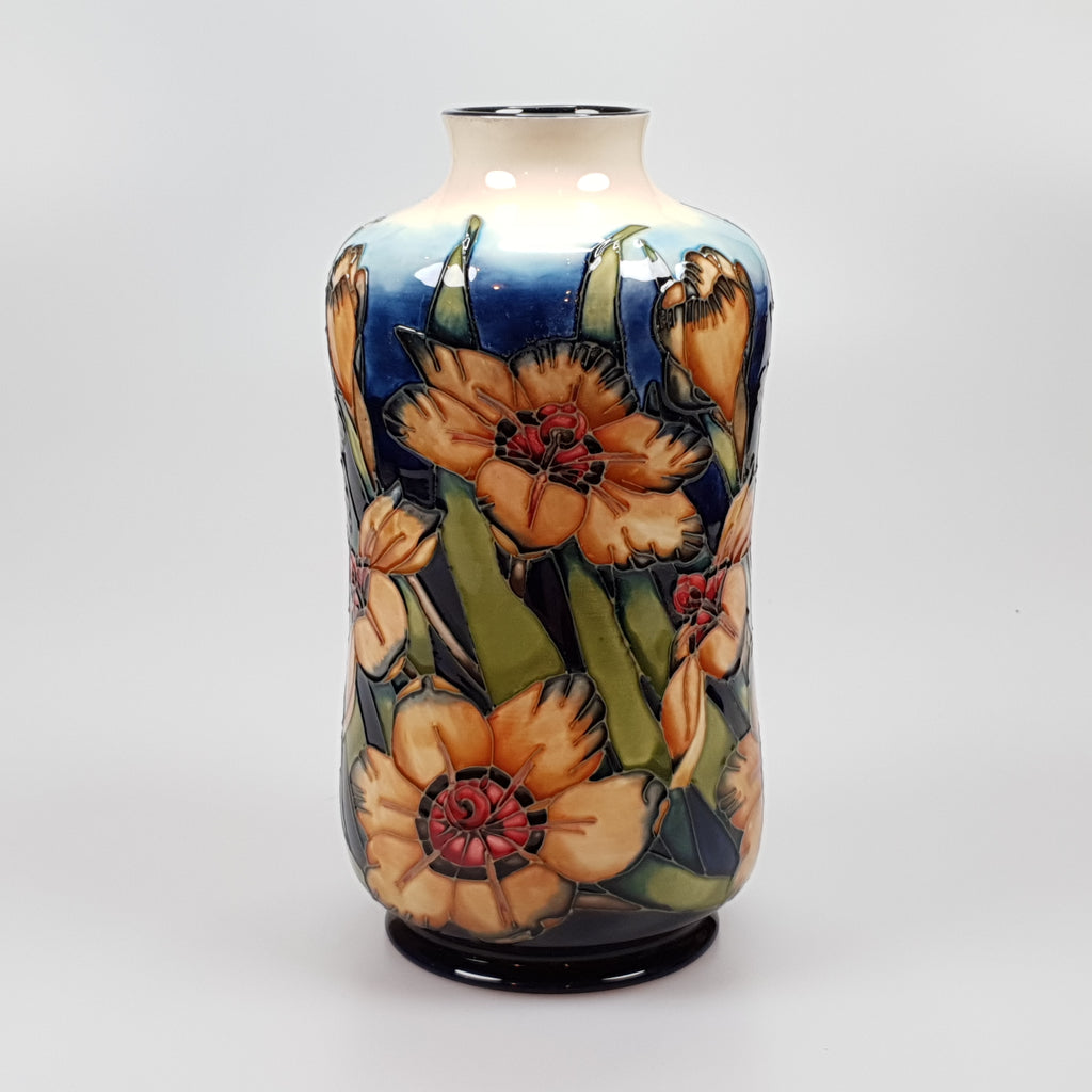 Moorcroft Spiraxia